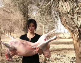 宰杀美女,悲剧背后的反思