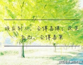 几个字的个性签名霸气高冷,个性签名中的独特魅力”