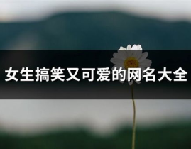 幽默有趣的网名大全,幽默风趣，昵称里的个性盛宴