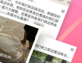 内涵段子暗号对话大全,天王盖地虎，宝塔镇河妖，段友接头暗号大揭秘
